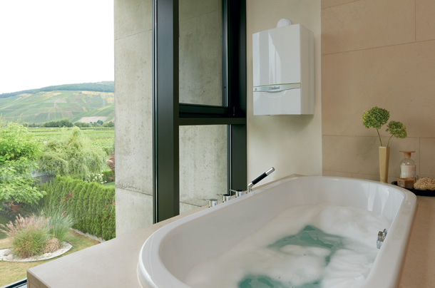 Vaillant-1-X.jpg