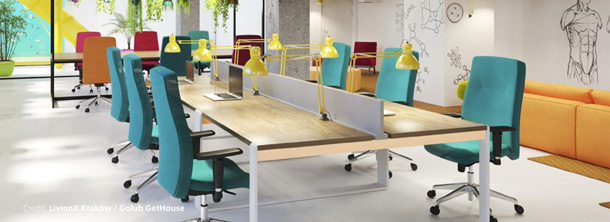 Colliers-CMS-6-X.jpg