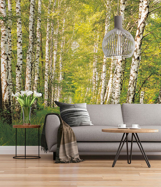 Hornbach-fototapety-7-X.jpg
