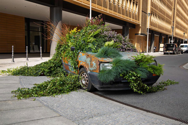 Hornbach-zelen-2-X.jpg